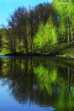 china_boy_1980文集