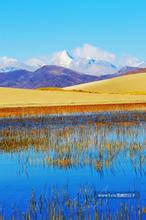 词人天使之翼文集