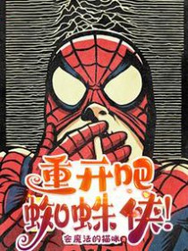 重开吧!蜘蛛侠!