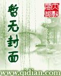 机长，为爱入局