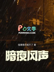 暗夜风声