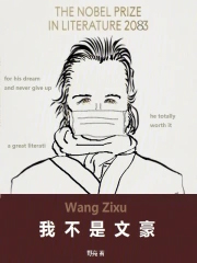 我不是文豪