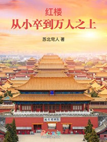 红楼:从小卒到万人之上