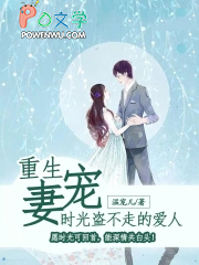 重生宠妻:时光盗不走的爱人