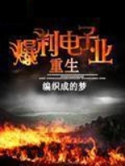 重生爆利电子业