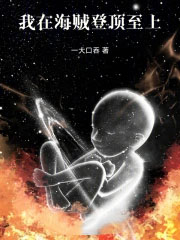 我在海贼登顶至上