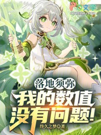 落地须弥：我的数值没有问题！