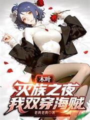 木叶:灭族之夜,我双穿海贼