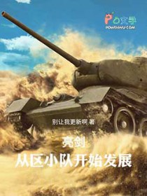 亮剑：从区小队开始发展